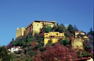 Massa-Carrara